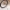 Vorderrad eines stehenden Fahrrads in Bronze